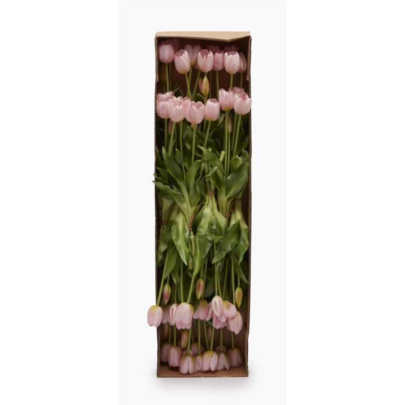 edg enzo de gasperi edg enzo de gasperi bouquet di 5 tulipani chiusi gomma olis h 40 cm rosa chiaro ean 8056372972324