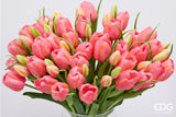 edg enzo de gasperi edg enzo de gasperi bouquete tulipano chiuso x4 h 40 cm con bocciolo rosa antico ean 8059824612984