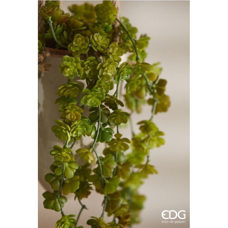 edg enzo de gasperi edg enzo de gasperi echeveria olis cespuglio cadente h 44 cm pianta artificiale verde ean 8059824213617