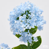 edg enzo de gasperi edg enzo de gasperi lilla ramo x3 con foglie anti uv pianta artificiale h 56 cm lilac ean 8059824658203