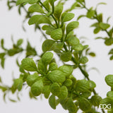 edg enzo de gasperi edg enzo de gasperi pianta artificiale bosso cespuglio h 45 cm light green pianta decorativa realistica design moderno ean 8059824668325