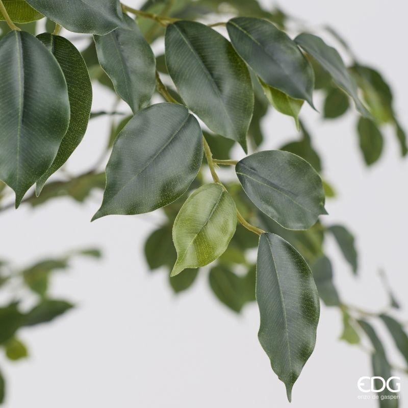 edg enzo de gasperi edg enzo de gasperi pianta artificiale ficus beniamino vogue con vaso h 240 cm pianta decorativa realistica design moderno ean 8059824655042
