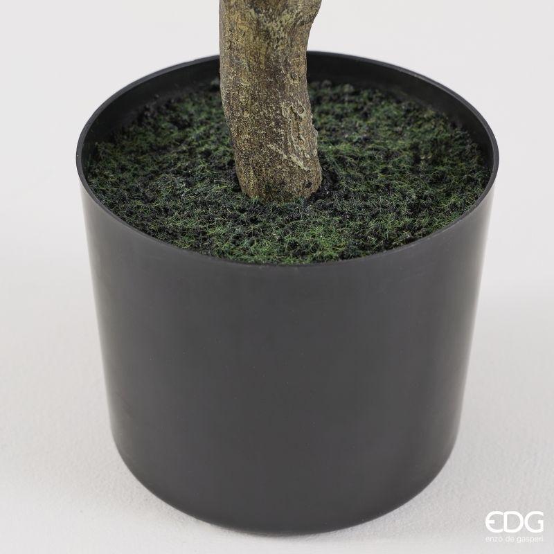 edg enzo de gasperi edg enzo de gasperi pianta artificiale ficus vogue con vaso h 150 cm pianta decorativa realistica design moderno ean 8059824655264