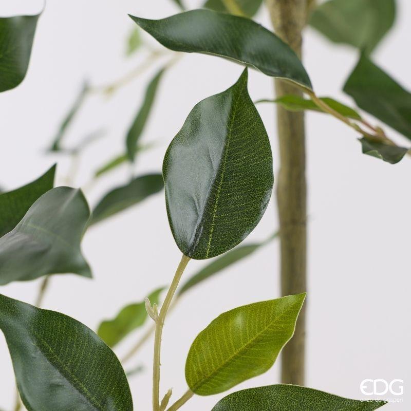 edg enzo de gasperi edg enzo de gasperi pianta artificiale ficus vogue con vaso h120 cm pianta decorativa realistica design moderno ean 8059824655196