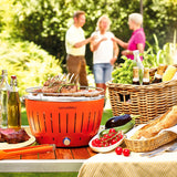 lotusgrill lotusgrill barbecue portatile 35 x 35 x 23 4 cm per interno ed esterno arancione ean 4260023010868