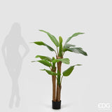 edg enzo de gasperi edg enzo de gasperi banano con vaso pianta artificiale h 150 cm verde ean 8059824607126