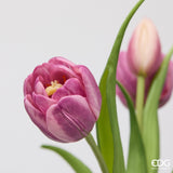 edg enzo de gasperi edg enzo de gasperi bouquete tulipano chiuso x4 h 40 cm con bocciolo viola mix ean 8059824612847