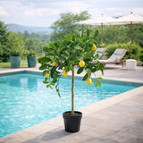 edg enzo de gasperi edg enzo de gasperi limone anti uv x9 con vaso pianta artificiale h 125 cm verde giallo ean 8059824607546