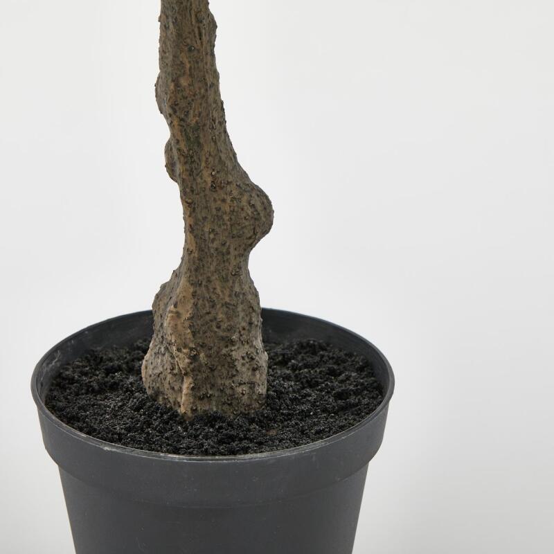 edg enzo de gasperi edg enzo de gasperi pianta artificiale di limoni bell con vaso pvc h 70 cm giallo verde ean 8059824134042