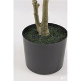 edg enzo de gasperi edg enzo de gasperi pianta artificiale ficus vogue con vaso h120 cm pianta decorativa realistica design moderno ean 8059824655226