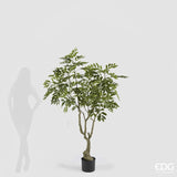 edg enzo de gasperi edg enzo de gasperi dalbergia vogue con vaso pianta artificiale h 180 cm verde ean 8059824607300