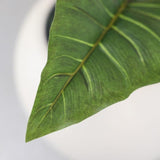 edg enzo de gasperi edg enzo de gasperi pianta artificiale alocasia vogue con vaso h 180 cm pianta decorativa realistica design moderno ean 8059824655172