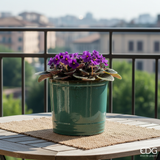 Lifestyle 2 – Balcone
