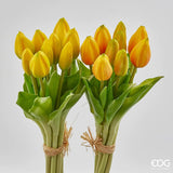 Tulip Bouquet 9 Yellow Buds