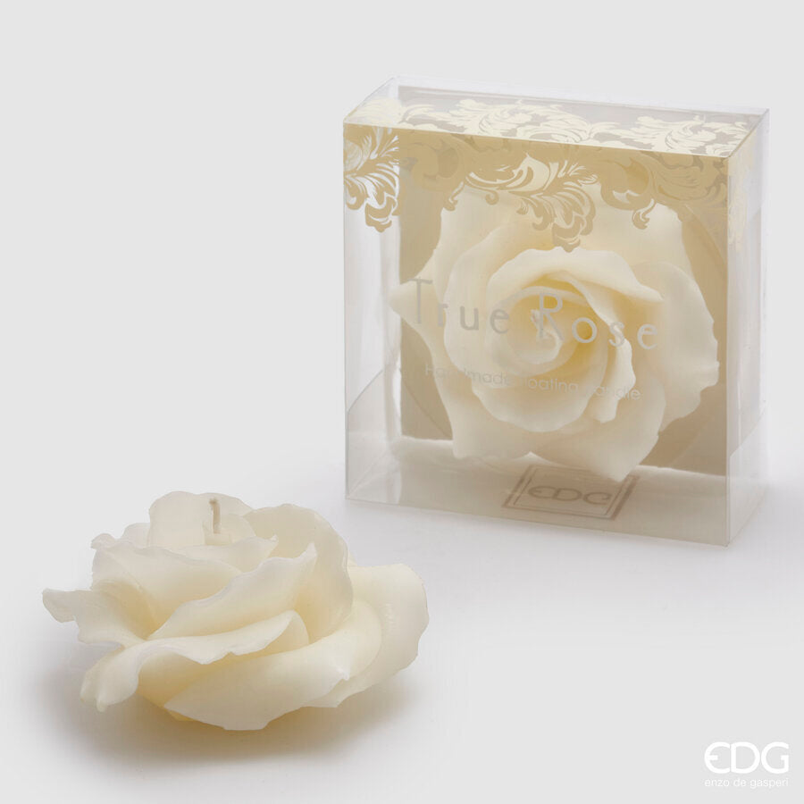 immagine-1-edg-enzo-de-gasperi-candela-rosa-gall-d11-no-perlata-8-ivory