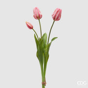EDG Enzo De Gasperi Rubberized Tulip Olis 3 Branches H 48 Cm Pink Cream 1 Cf