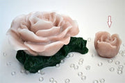 The Arcolaio Bud-shaped candle - Powder wax H 6.5 D 9 cm