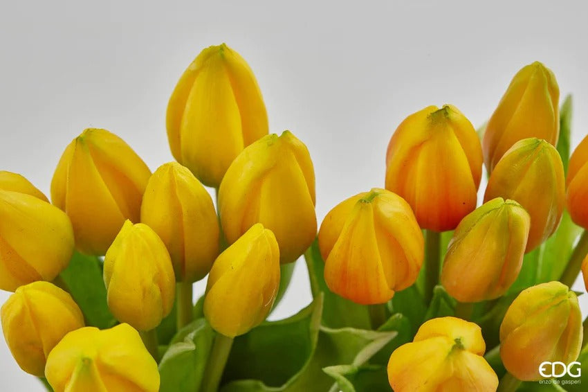 Tulip Bouquet 9 Yellow Buds